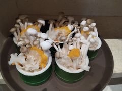-诺筵汤品·菌汤火锅(南河坝店)