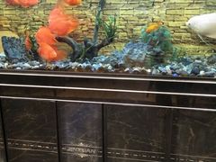 -潮喜竹溪荔湖酒家(荔枝湾店)