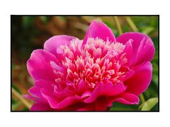 -中国药科大学（江宁校区）-图书馆