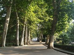 -武汉大学-樱园