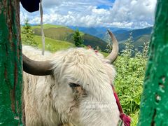 -剪子湾山