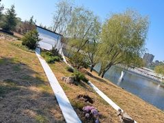 -羊亭河湿地公园