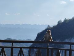 -重庆云阳龙缸景区