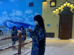 -世界之窗阿尔卑斯冰雪世界