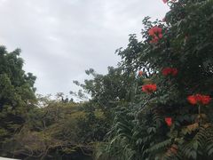 -呀诺达热带雨林