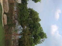 -桐乡凤凰湖
