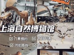 -上海自然博物馆