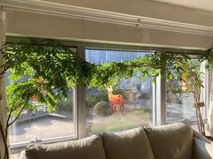 -精德口腔·种植修复·儿牙中心(财富中心店)