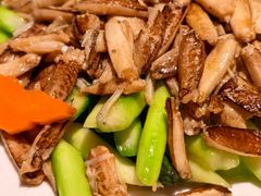 -福玺荟(外滩罗斯福店)