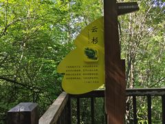 -云顶山风景区