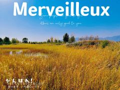 -野鸭湖国家湿地公园