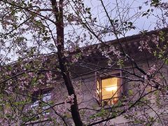 -武汉大学-樱园