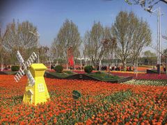 -廊坊文化艺术中心