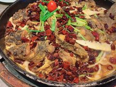 -老板恋上鱼(恒隆广场店)