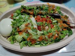 -油梨树 AVOCADO TREE(亮马桥店)