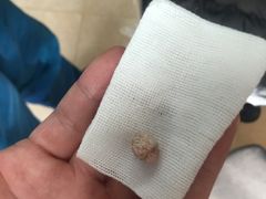 -宠福鑫动物医院·动物疾病诊疗中心(天通苑店)