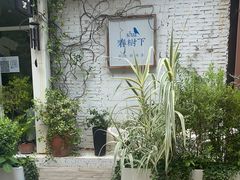 -春树下·树屋花房西餐厅(罍街AS1980店)