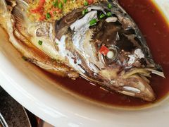 -马仕玖煲·融合菜·酥不腻烤鸭(人大店)