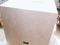 -BLACKSWAN黑天鹅(环球店)