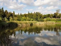 -吴淞炮台湾湿地森林公园烧烤区