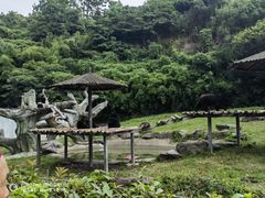 -宁波野生动物园