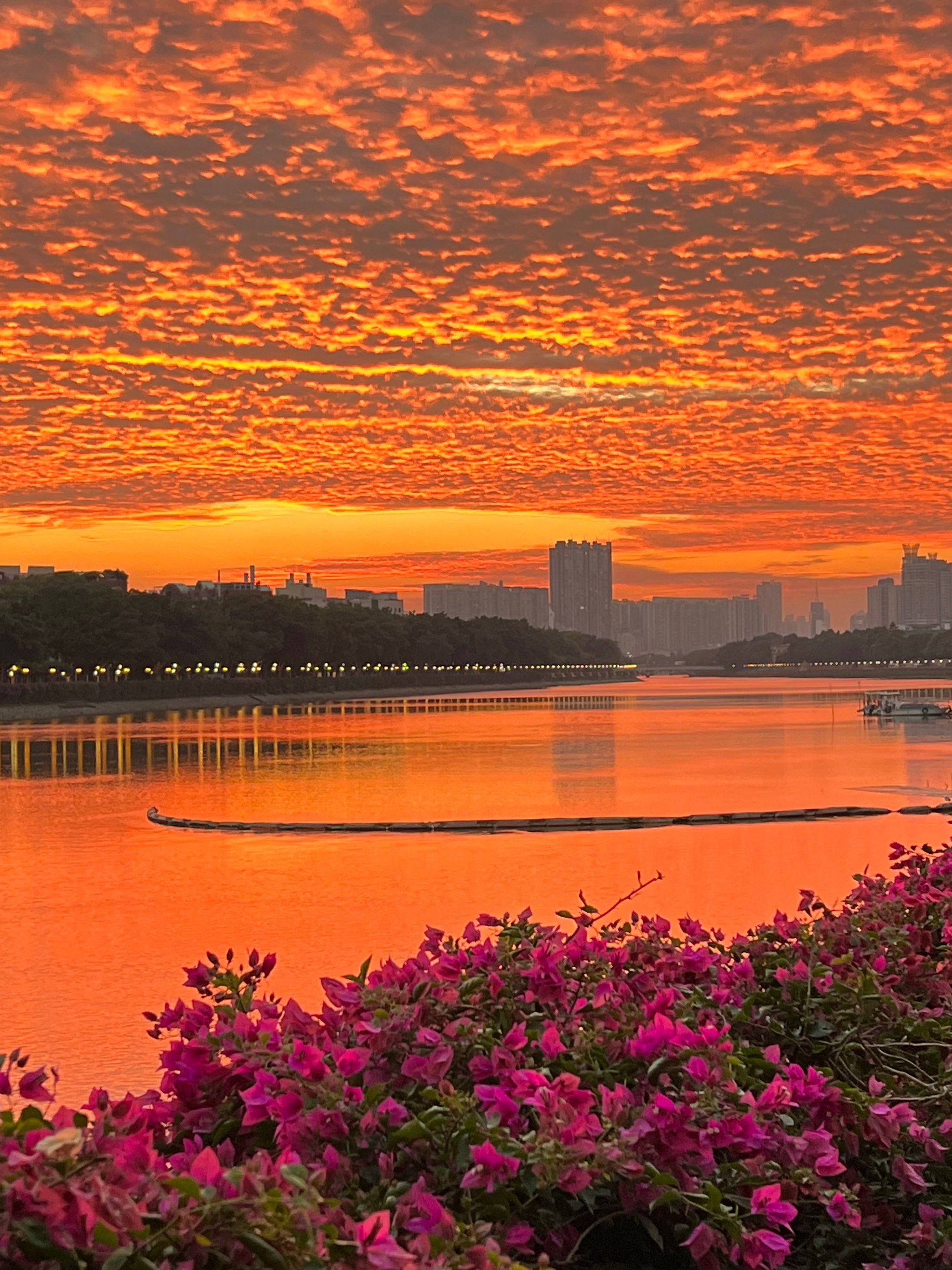 想看看你拍的天空 #分享治愈系风景 #最美晚霞