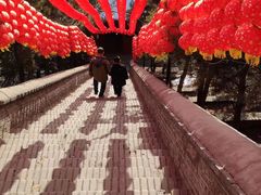 -红螺寺