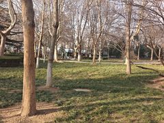 -裕华世纪公园