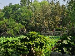 -莲池书院博物馆