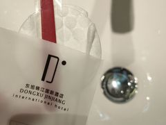-东旭阳光国际大酒店