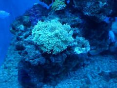 android_upload_pic-常州海昌海洋探索馆