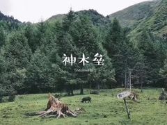 -硗碛藏寨·神木垒景区