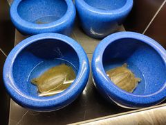 -香港狮子山下·明星粤菜餐厅(北苑店)