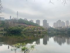 -重庆彩云湖湿地公园