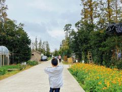 -前小桔亲子创意农场·草莓采摘·露营烧烤