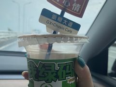 -东平国家森林公园