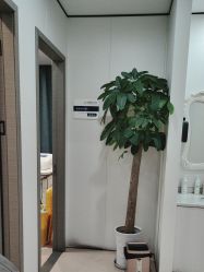 -郑荃丽格医疗美容