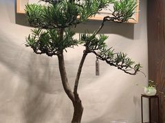 -双季花艺园艺市场(浦东店)