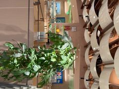 -Aqua Oasis 水天堂(相城天虹商场店)