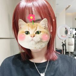 -崇尚GAVIN STYLE臻选