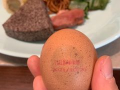 -梧桐人家中国太平国际健康颐养社区