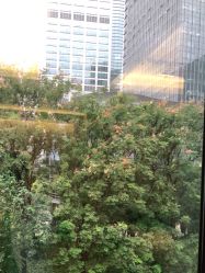-上海首尔丽格医疗美容医院