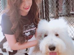 -TrueLove @ Neverland (Husky Cafe)