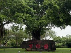 -万绿园