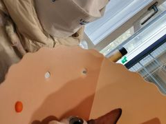 -伟伟宠物医院·CT影像中心·瑞派犬猫综合性门诊(汉口总院)