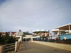 -海合安青岛极地海洋公园