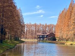 -黄海国家森林公园