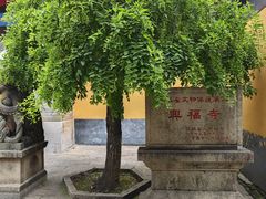 -虞山风景区