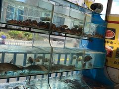 水产区-临风海鲜餐厅