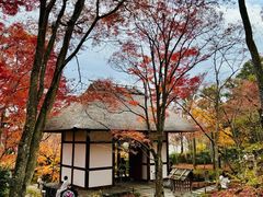 -常寂光寺